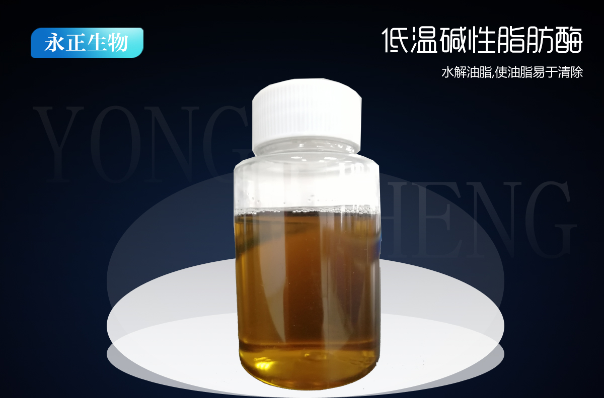 液體低溫堿性脂肪酶ZHK-10