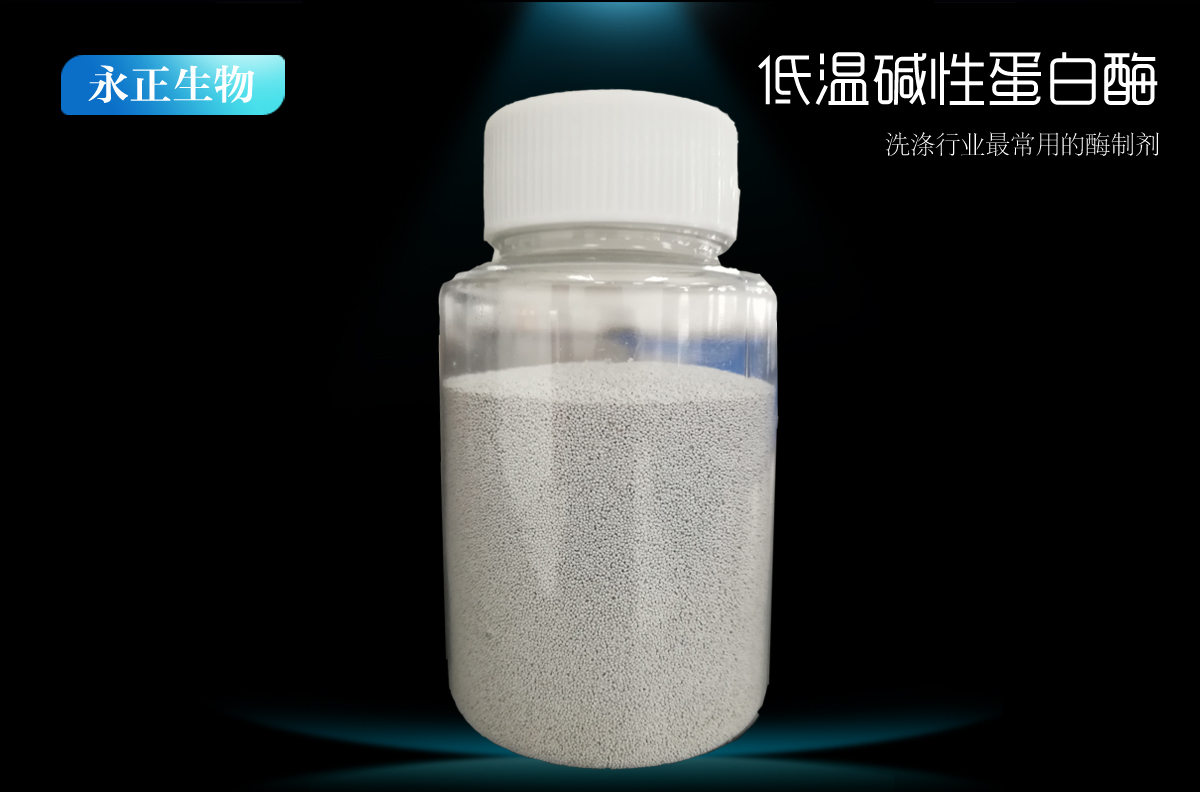 顆粒低溫堿性蛋白酶-DBK-10
