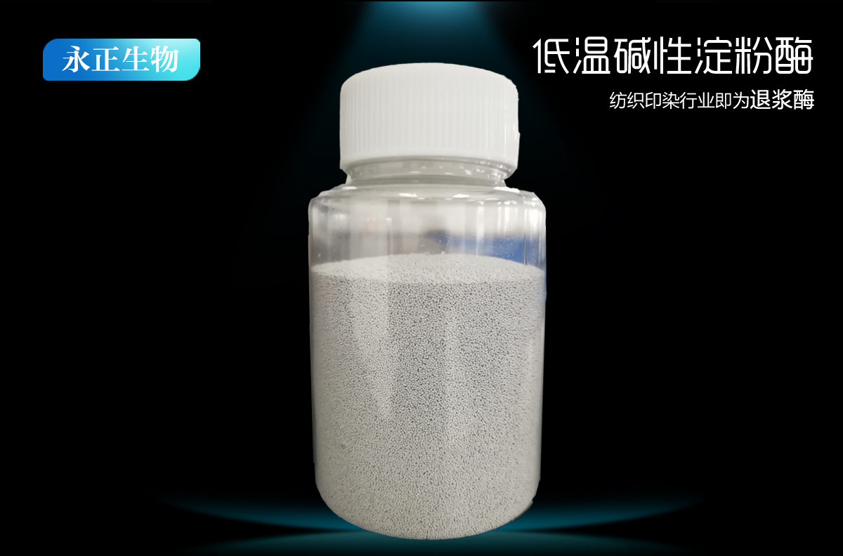 顆粒低溫堿性淀粉酶DFK-0.4