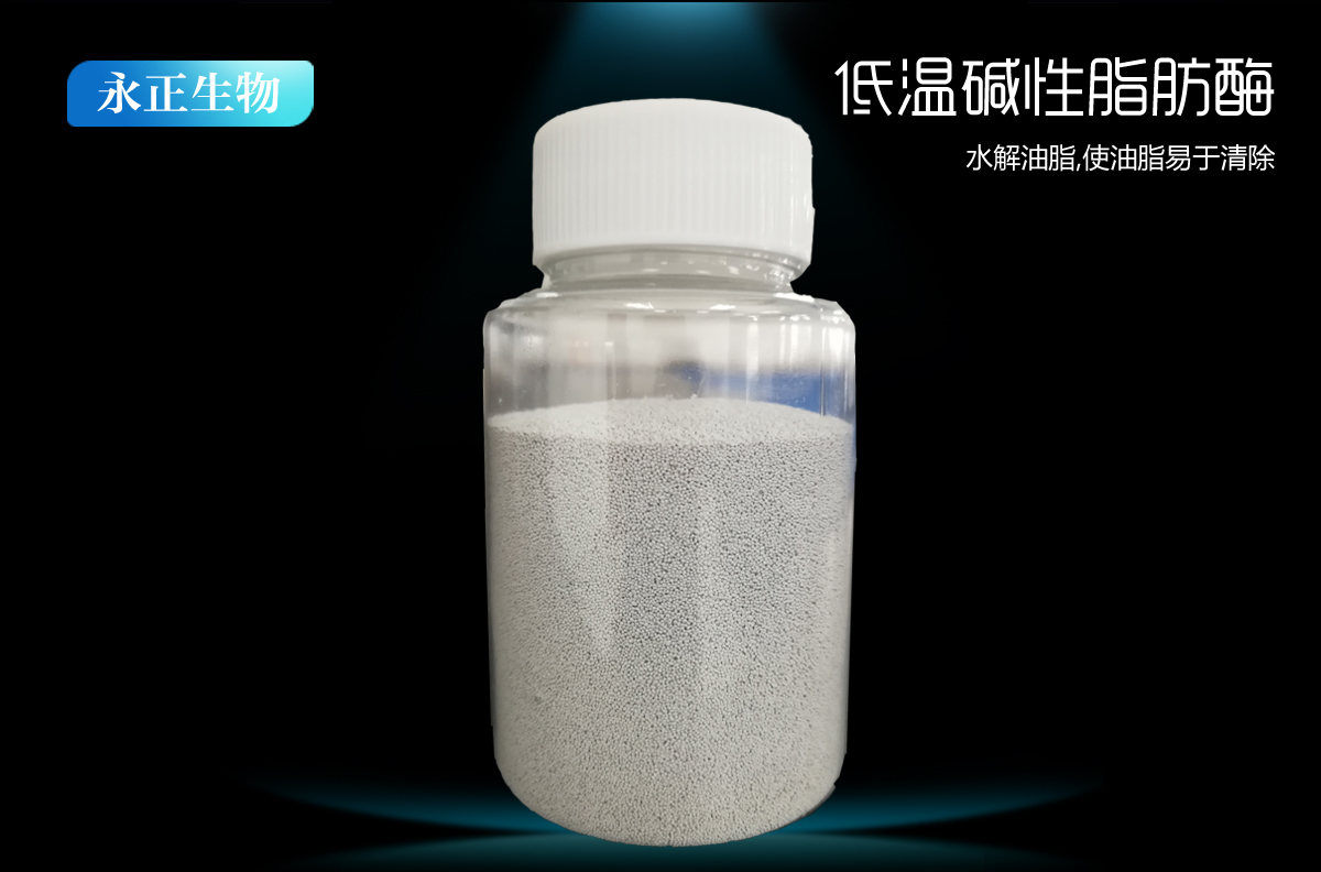顆粒低溫堿性脂肪酶ZHK-10