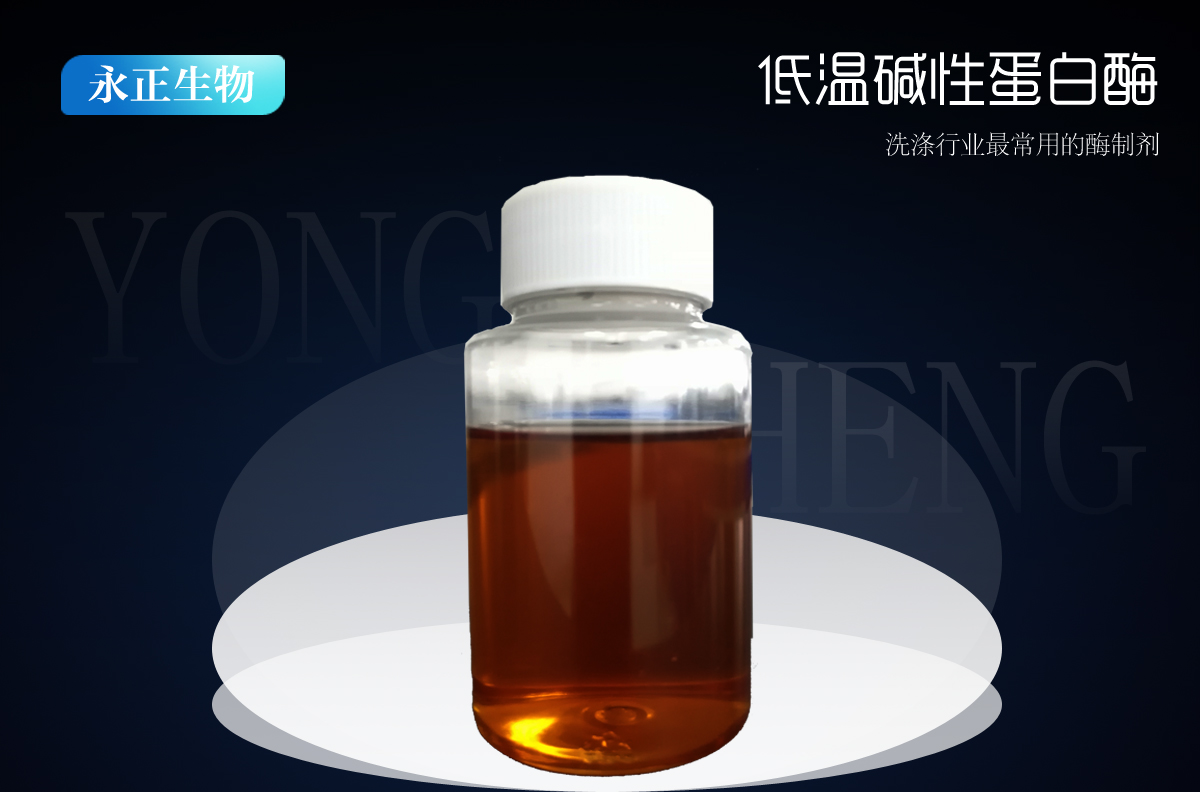 液體低溫堿性蛋白酶DBY-20