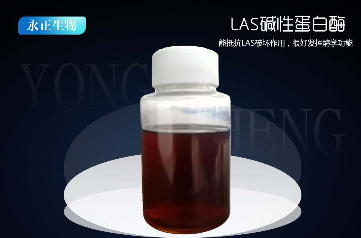 液體LAS堿性蛋白酶-DBY-10L