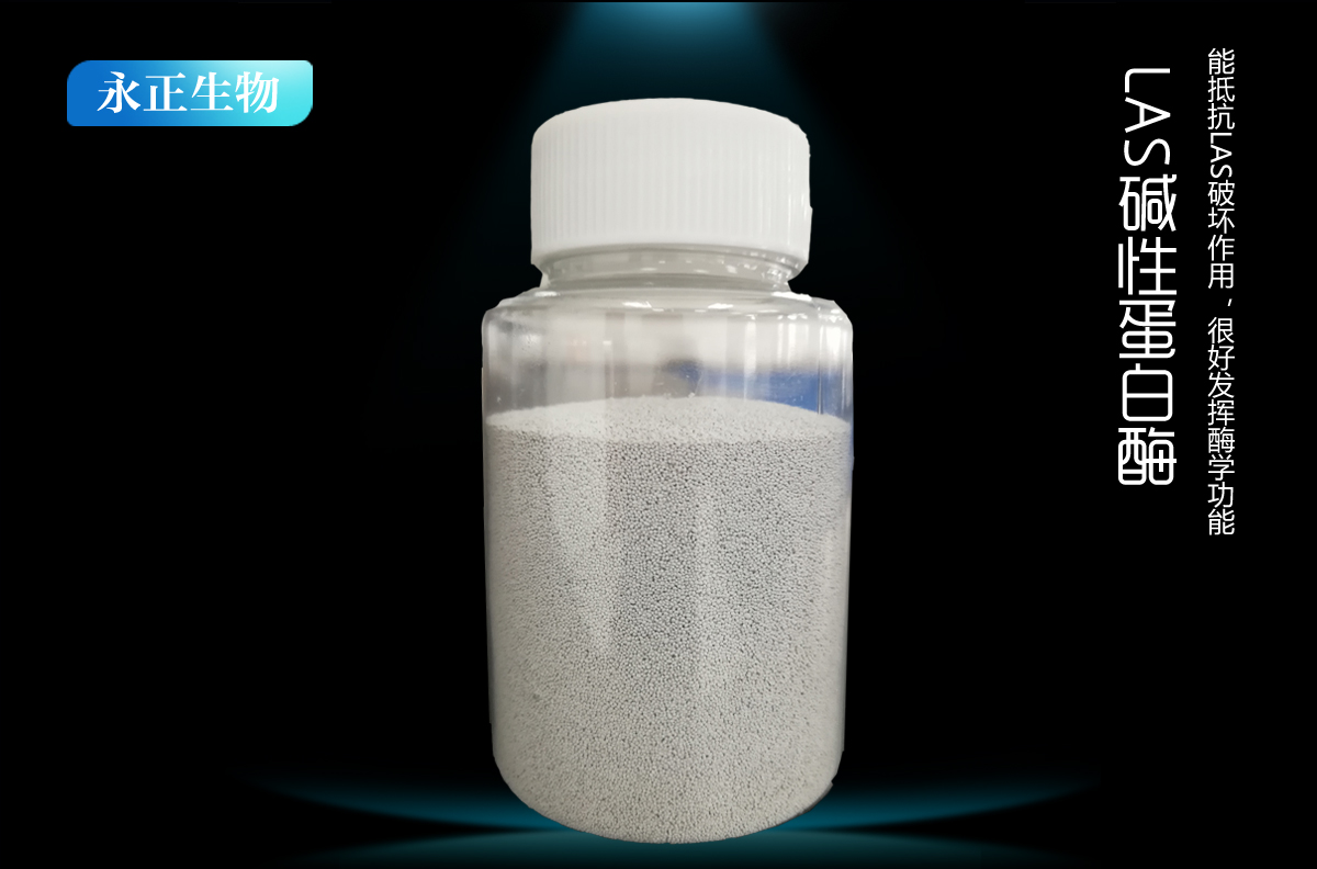 顆粒LAS堿性蛋白酶DBK-10L