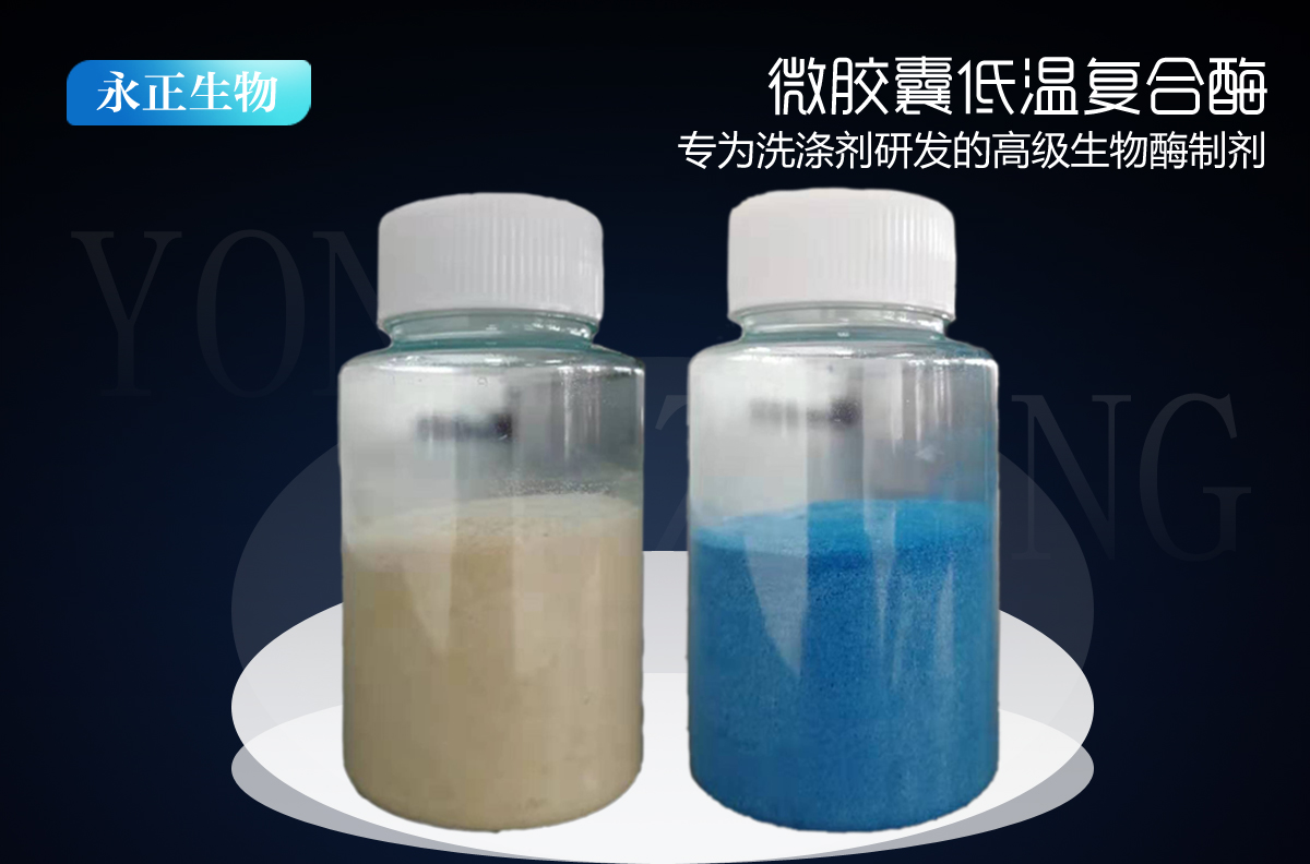 [全站置頂]微膠囊低溫復(fù)合酶-四合一復(fù)合酶